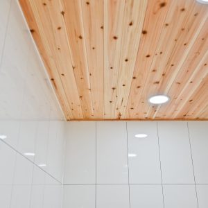 Indoor PVC Ceiling Panel